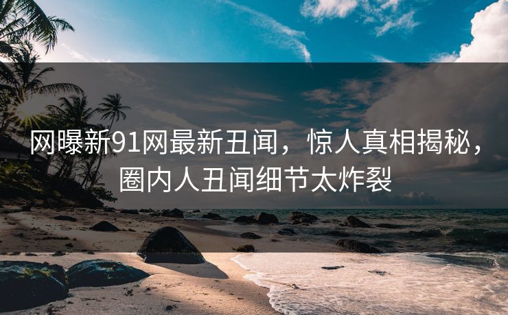 网曝新91网最新丑闻，惊人真相揭秘，圈内人丑闻细节太炸裂