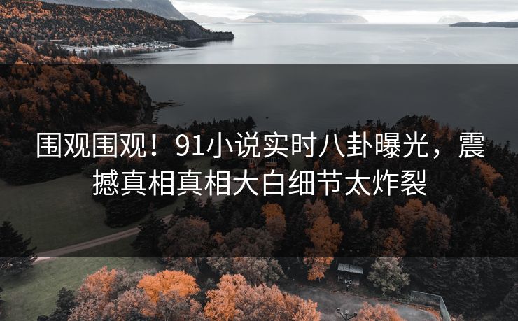 围观围观！91小说实时八卦曝光，震撼真相真相大白细节太炸裂