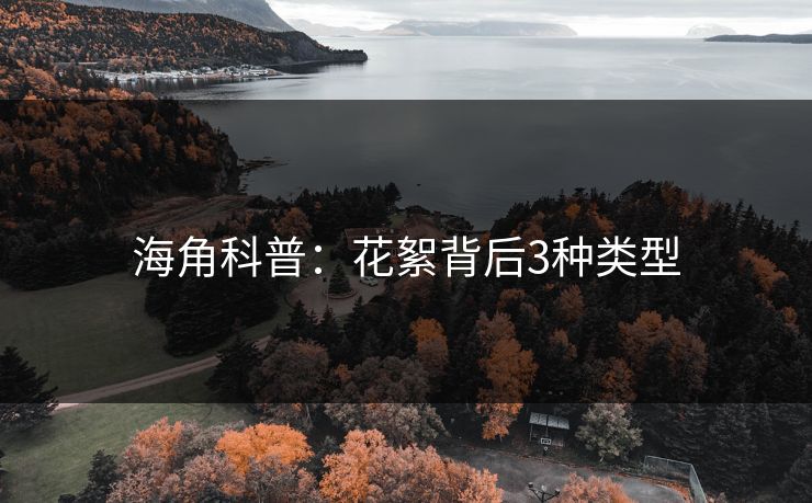 海角科普：花絮背后3种类型