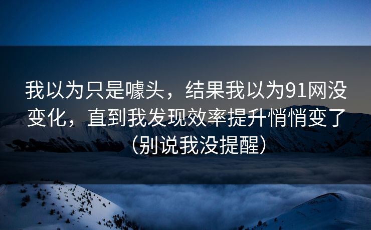 我以为只是噱头，结果我以为91网没变化，直到我发现效率提升悄悄变了（别说我没提醒）